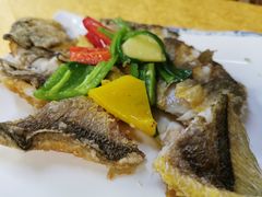 香煎黄花鱼-鸽王世家(东华东路店)