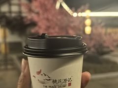 -常德桃花源景区