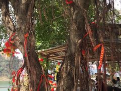 景点-紫云谷景区