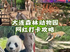 -大连森林动物园