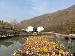 -荷塘味道(水长城店)