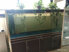 -名人名家     浙菜.家宴