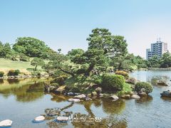 -水前寺成趣园