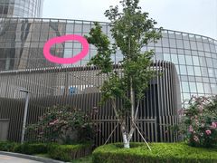 -章记星洲 · 新加坡餐厅(望京店)