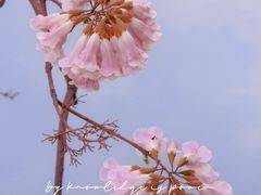 -红星桥(地铁站)