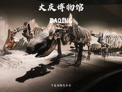 -大庆市博物馆