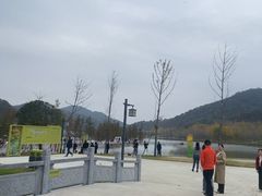 -千年银杏谷文化旅游区
