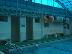 -花样年华游泳馆·游泳培训基地