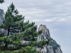 -黄山风景区
