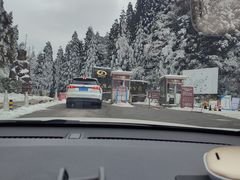 -武陵山森林公园