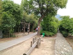 -东海大峡谷