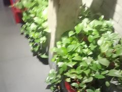 -并州大牌档之醉轻尘
