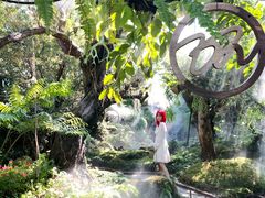 -Chom Cafe and Restaurant