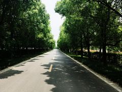 -同里国家湿地公园