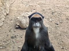 -宁波野生动物园