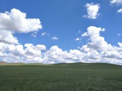 -塞罕坝国家级自然保护区