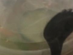 -英歌魂(惠城店)