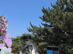 -威海华夏城景区