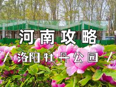 -洛阳市牡丹公园