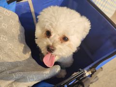 -小意思咖啡店(草桥店)