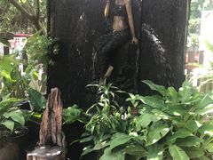 -清迈女子监狱马杀鸡(无分店)