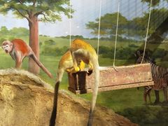 -绿色星球动物主题公园