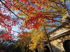 -灵谷景区