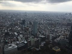 -东京都厅舍