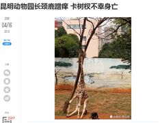 -昆明动物园