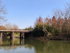 -溱湖国家湿地公园