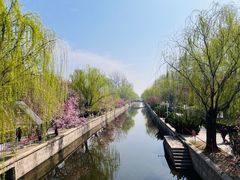 -海棠花溪(元大都城垣遗址公园)