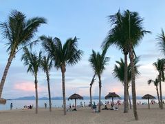 -玫瑰海岸文化旅游度假区