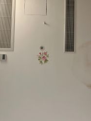 -静博士·养生养颜