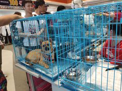 -天虹购物中心(石路店)