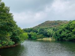 -白马涧龙池景区