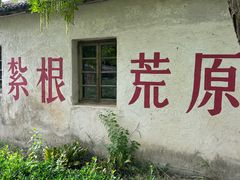 -大丰知青农场