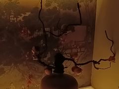 -湘轩·土菜研究院(光大店)