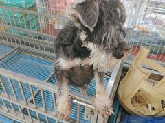 -山东柏宁水族批发广场