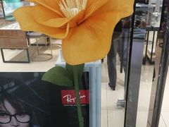 -万达广场(齐齐哈尔建华店)