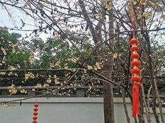 -上海方塔园