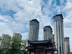 -金鸡山公园