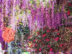 -正佳雨林生态植物园