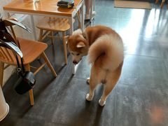 -Egg•Allday Brunch(襄阳北路店)