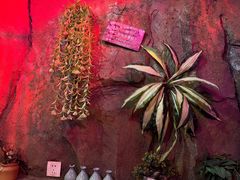 -醉小酒馆·川菜·江湖菜·重庆菜(观音桥旗舰店)