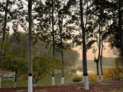 -大兴滨河森林公园