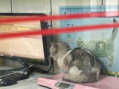 -贝康宠物医院·犬猫全科·小动物特色诊疗中心(东环路店)