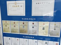 -汪喵宠物医院·骨科心脏影像·犬猫急重症ICU诊疗中心(成华分院)