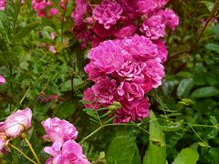 -镇坪县曙坪小学