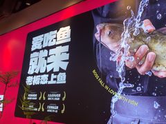 -老板恋上鱼(高新万达店)