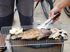 -永定河休闲森林公园